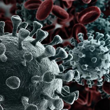 Keine Chance für Bakterien und Viren mit dem Coronalüfter